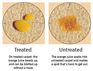 Treated vs Untreated Carpet